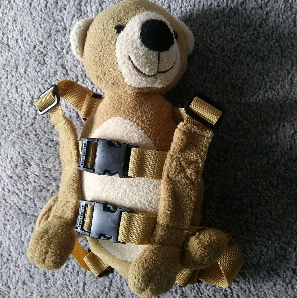*Sold!* Eddie Bauer Kid's Teddy BackPack